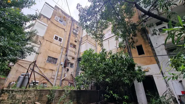 נכס ב — תמונה 1